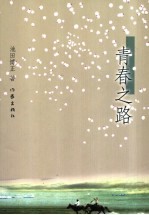 青春之路 我的年轻岁月记录