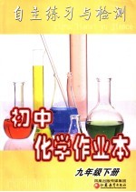 初中化学作业本 九年级下