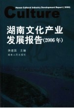 湖南文化产业发展报告 2006年