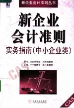新企业会计准则实务指南 中小企业类