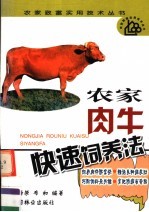农家肉牛快速饲养法