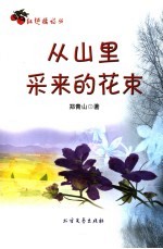 从山里采来的花束