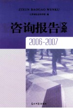 咨询报告文库 2006-2007