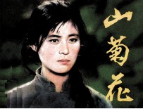 电影连环画册 山菊花