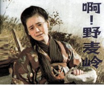 啊!野麦岭