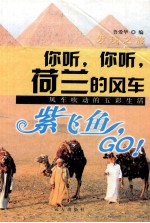 你听，你听，荷兰的风车