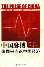 中国脉搏 张嗣兴点论中国经济