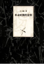 王小波集 革命时期的爱情