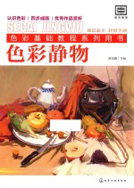 色彩基础教程系列用书 色彩静物