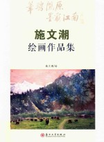 施文潮绘画作品集