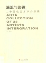 湍流与渗透 二十五位艺术家作品集