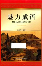 魅力成语