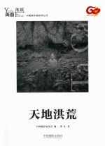 青春·未来中国青年摄影师系列丛书 天地洪荒