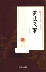 满城风雨 民国通俗小说典藏文库 张恨水卷