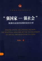 强国家-强社会 我国社会组织发展的政治分析