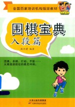 围棋宝典 入段片