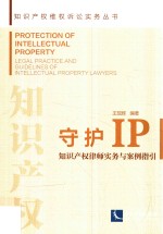 守护IP 知识产权律师实务与案例指引