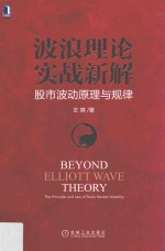 波浪理论实战新解 股市波动原理与规律