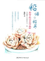 铅语铅寻