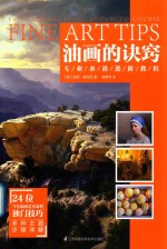 油画的诀窍 专业水准进阶教程
