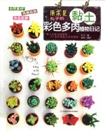 原来是黏土 丸子的彩色多肉植物日记