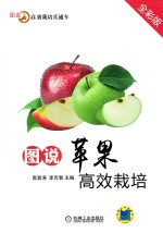 图说苹果高效栽培 全彩版
