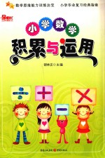 小学数学积累与运用