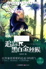 追踪黑白金丝猴 青青望天树