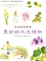 水边的自然课 曼妙的水生植物
