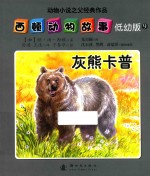 灰熊卡普 低幼版