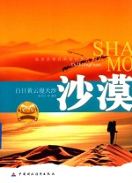 沙漠 白日黄云漫天沙