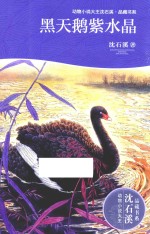 动物小说大王沈石溪 品藏书系 黑天鹅紫水晶