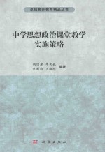 中学思想政治课堂教学实施策略