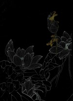 花卉参考资料 1