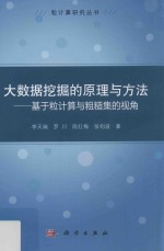 粒计算研究丛书 大数据挖掘的原理与方法 基于粒计算与粗糙集的视角