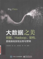 大数据之美 挖掘、Hadoop、架构 更精准地发现业务与营销
