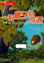 美妙的大自然 一粒橡子的奇遇