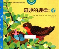 大自然中的数学 奇妙的规律 春