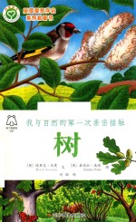 我与自然的第一次亲密接触 树