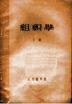 组织学 下