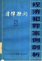 法律顾问:经济犯罪案例剖析