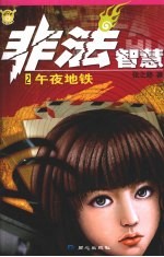 非法智慧 午夜地铁