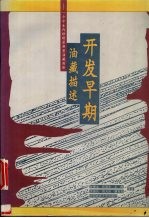 开发早期油藏描述 一个中生代砂砾岩典型油藏剖析