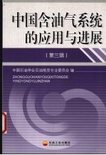 中国含油气系统的应用与进展 第3辑