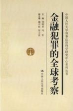 金融犯罪的全球考察