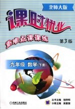 课时优化重难点课课练  九年级数学  下  北师大版  第3版