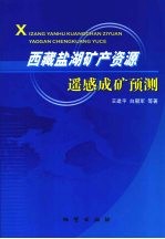 西藏盐湖矿产资源遥感成矿预测
