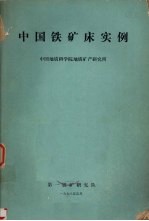 中国铁矿床实例 《我国铁矿找矿方向探讨》附件 第一铁矿研究队