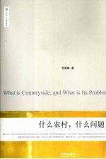 什么农村,什么问题