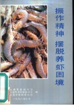 振作精神 摆脱养虾困境